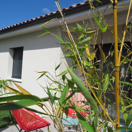 Les Jardins D'Oc - Wifi, Terrasse Et Jardinet - Appart T2 Neuf Soual Exterior photo